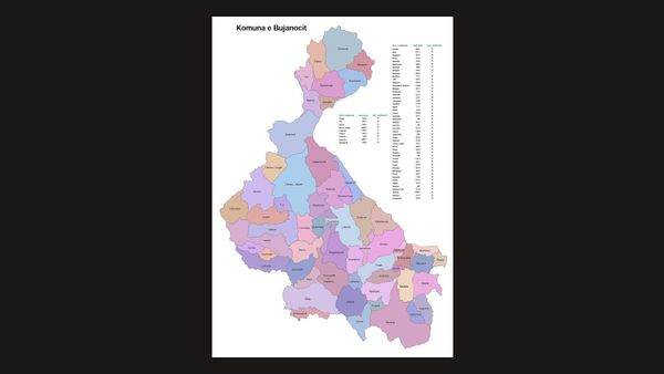 Spahiu: Shqipëria fiton më shumë nga konsullata në Bujanoc se sa humbet në Shkodër