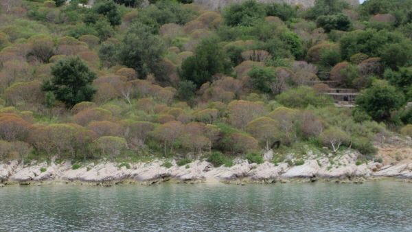 Castle of Ali Pasha Tepelena (31883185228)