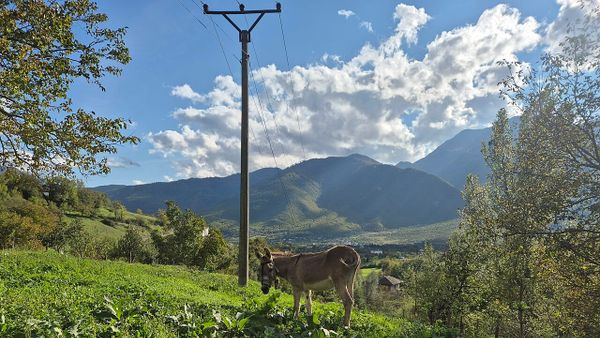 Fshati Lepurakë, Bulqizë