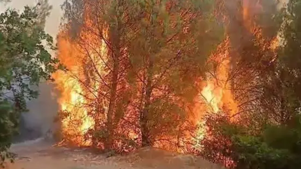 Zjarret në Shqipëri: 5 vatra aktive, riaktivizohet flaka në Librazhd