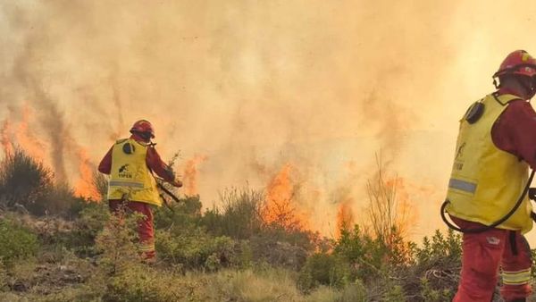 12 vatra aktive nga 45 zjarre në 24 orë, angazhohen forcat e armatosura