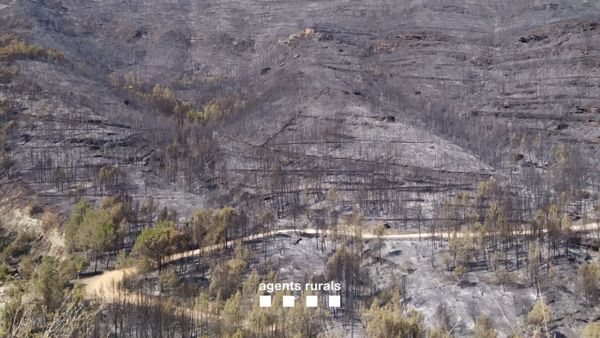 Incendi Forestal Bages 2