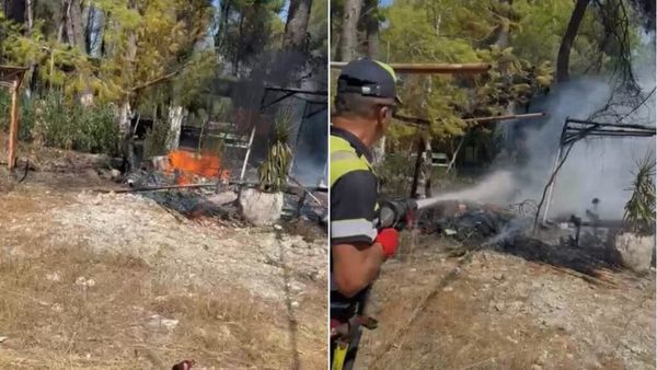 Zjarri përfshin një lokal në Triport, rrezikohet Pylli i Sodës në Vlorë