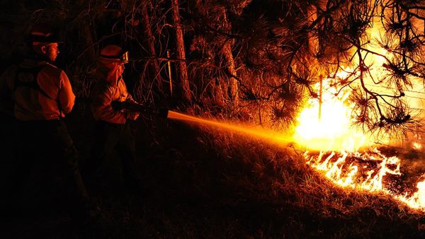 Zjarri në Mallakastër, forcat angazhohen pa evakuim