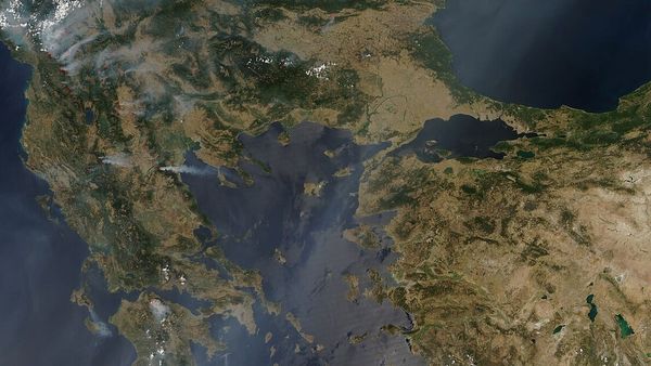 Zjarri përfshin zonën e Oparit në Moglicë