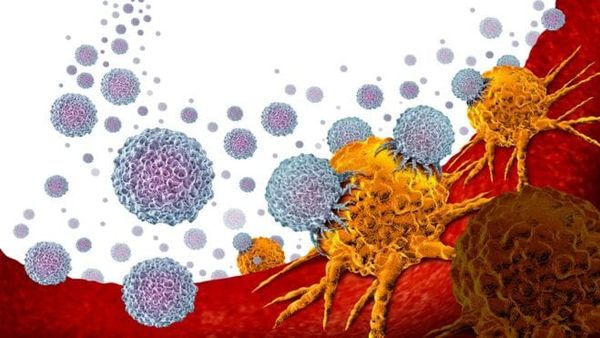 Imunoterapia tregon efektivitet kundër kancerit të përparuar të prostatës