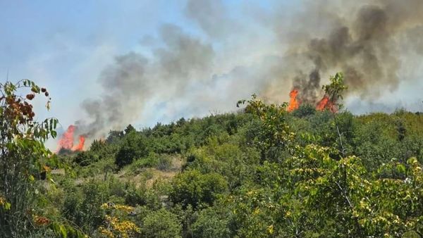 Gjashtë vatra zjarre aktive dhe 30 të shuara në territor