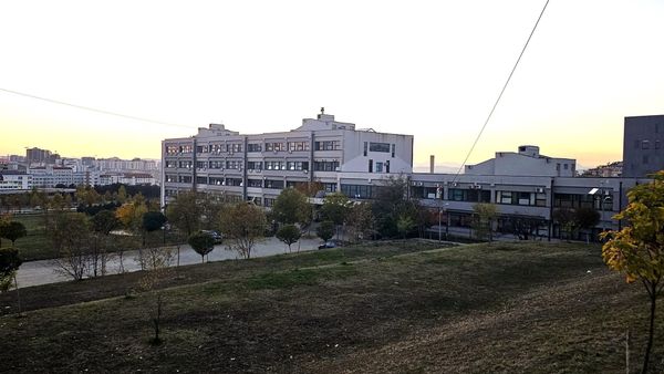 Gjykata vendos masë sigurie për 68 ari në zonën e fakulteteve teknike