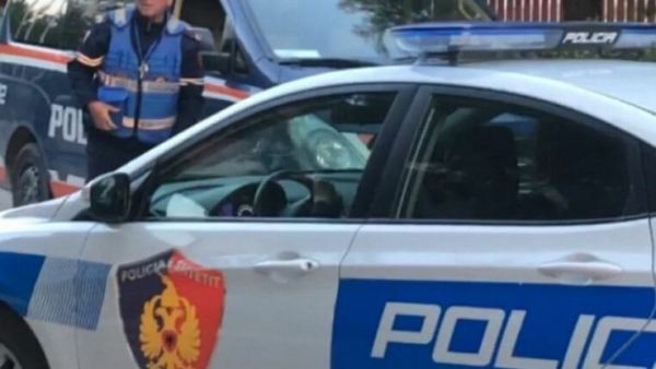 Policia i vjen në ndihmë dy turistëve gjermanë pas malit të Dajtit