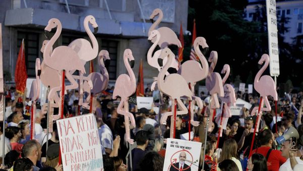 Protestat e Flamingove shtyhen në betejë online kundër censurës e deepfake