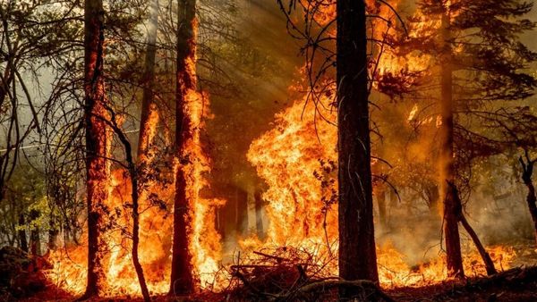 42 zjarre në hapësira të hapura: 5 aktive dhe 32 të shuara