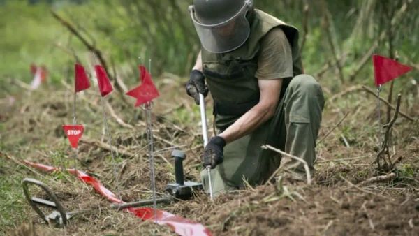 Foto: ekonomiaonline.com