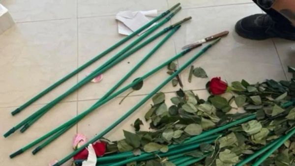 Operacioni "Lulet e së keqes" në Greqi, arrestohet trafikant kokaine i kërkuar nga Shqi…