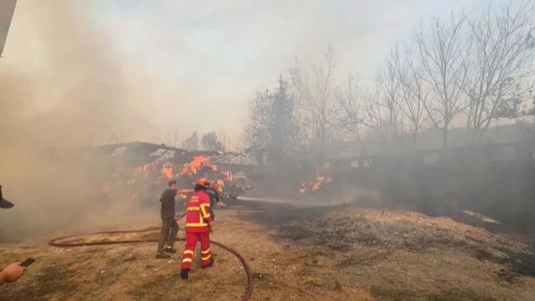 Ministria e Mbrojtjes: 21 vatra zjarri, 5 ende aktive, pa rrezik për banesa