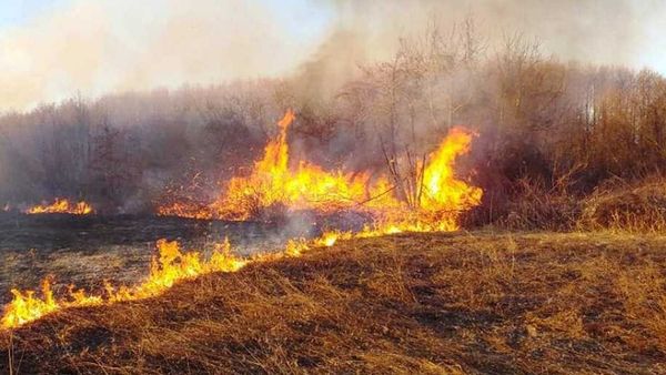 138 zjarre pyjore në vend, dëmet vlerësohen mbi 4 milionë euro