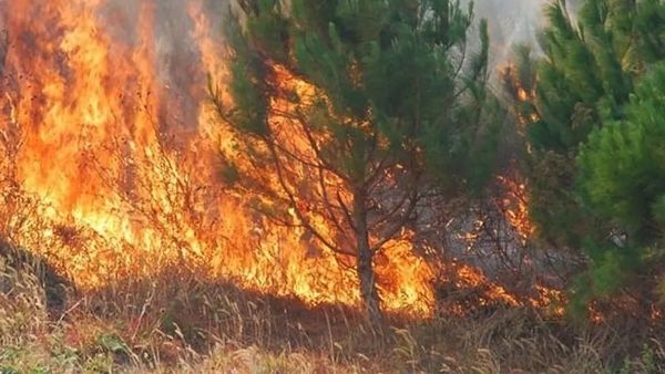 Qendra për Menaxhim me Kriza raporton dhjetëra zjarre në hapësira të hapura