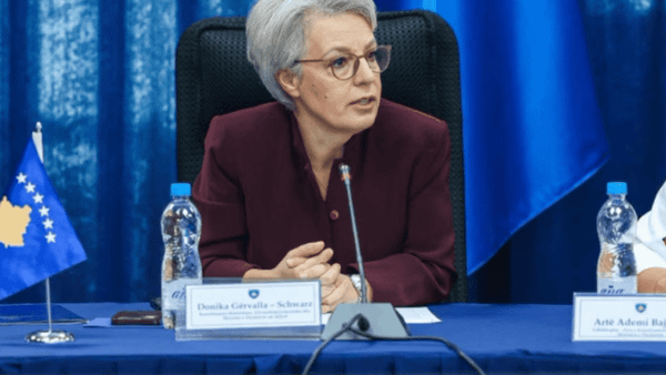 Strategjia e re kundër dhunës kërkon masa të guximshme institucionale