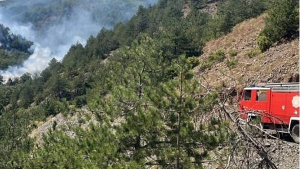 Vatra të reja zjarri dhe erë e fortë në qarkun e Shkodrës