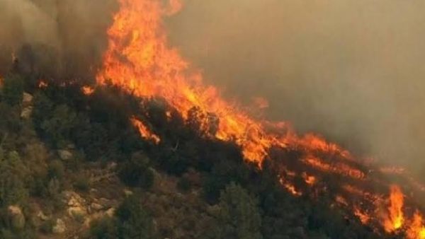Gjashtë vatra zjarri aktive ndërsa mbi tetëdhjetë efektivë angazhohen