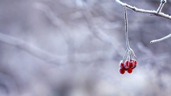 Valë polare me temperatura poshtë -10°C pritet në Maqedoninë e Veriut