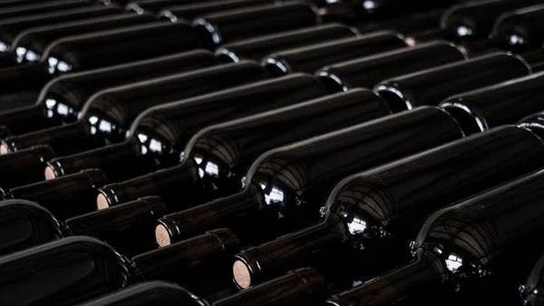 Grabiten 30 mijë shishe verë me vlerë 5 milionë euro në Itali