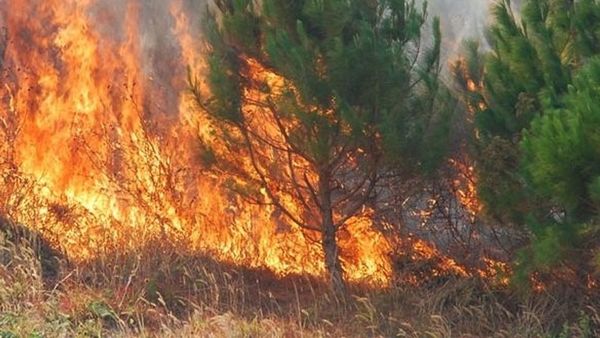 Sezoni i zjarreve lë pas dhjetëra mijëra hektarë të djegur dhe dëme miliona euro