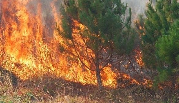Foto: telegrafi.com