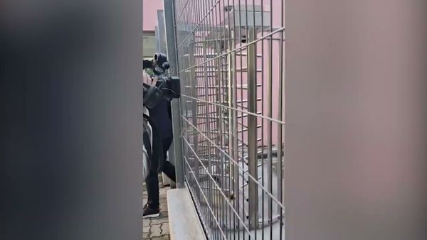 Gjyli dhe Elezi paraqiten sërish në Prokurorinë e Posaçme