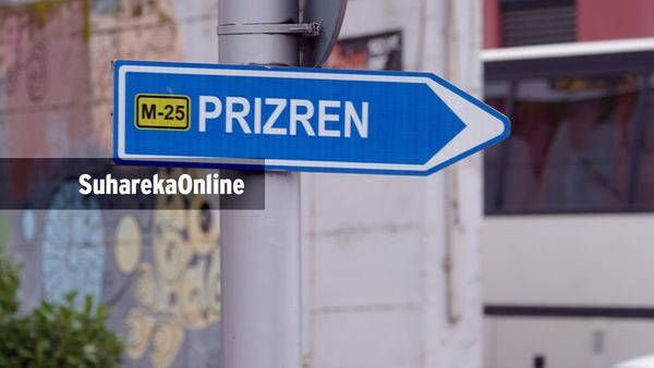 Plagoset aksidentalisht me armë zjarri një person në Caparc