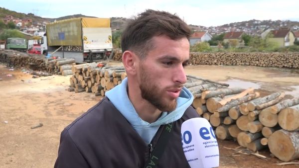 Çmimi i drunjve mbetet i njëjtë, bie interesimi i qytetarëve