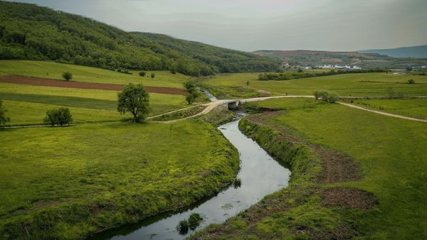 Lumi Drenica gjarpëron mes livadheve të gjelbra, me një kodër të pyllëzuar dhe shtëpi fshati në sfond