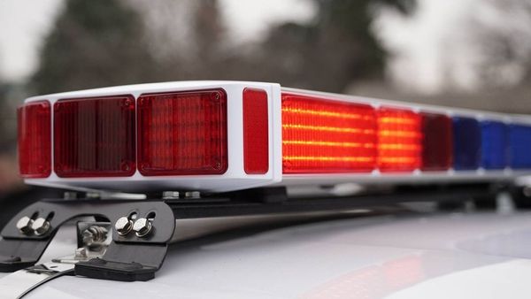 Shtetasi bullgar ndalohet në Bogorodicë për falsifikim dokumenti