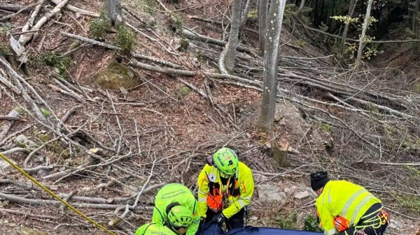 Aksident fatal gjatë punës në pyll për 35-vjeçarin shqiptar në Itali