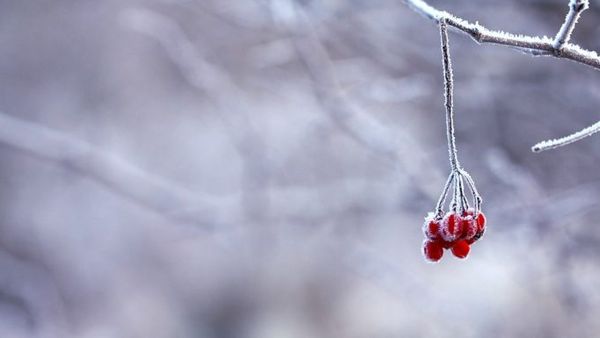 Valë polare me temperatura poshtë -10°C pritet në Maqedoninë e Veriut