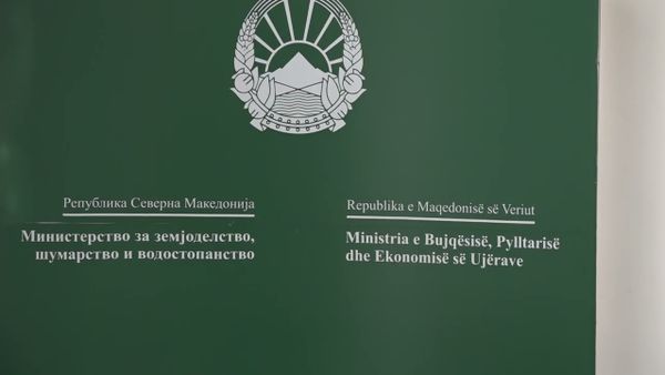 Aksion kundër prerjes ilegale: Mbi 500 metra kub dru të sekuestruara