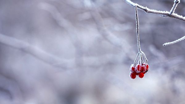 Valë polare pritet të përfshijë Maqedoninë e Veriut dhe Ballkanin