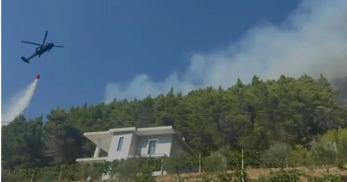 Zjarri në Milot, flakët afrohen pranë banesave, ndërhyrje nga ajri me dy helikopterë