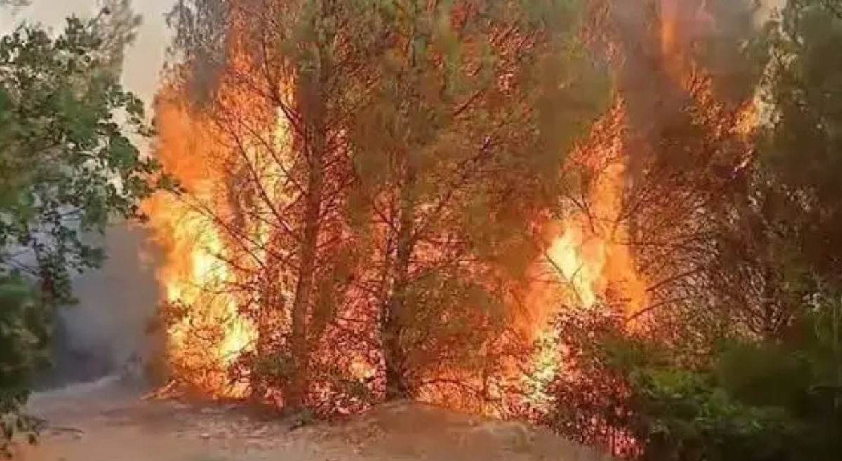 Zjarret në Shqipëri: 5 vatra aktive, riaktivizohet flaka në Librazhd