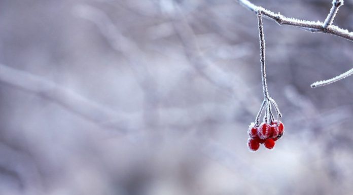 Valë polare me temperatura poshtë -10°C pritet në Maqedoninë e Veriut