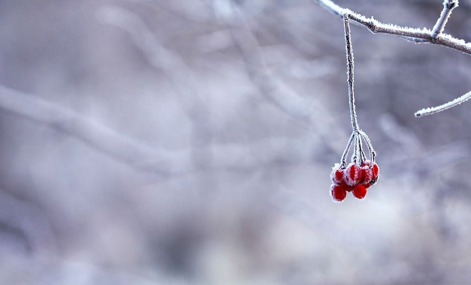 Valë polare pritet të përfshijë Maqedoninë e Veriut dhe Ballkanin