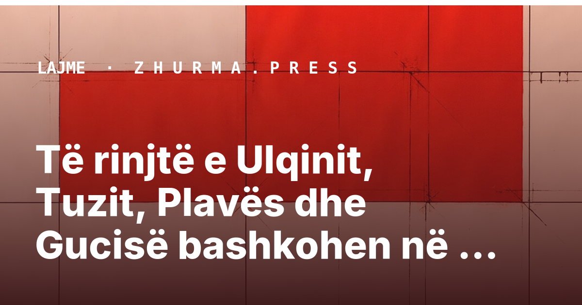 Të rinjtë e Ulqinit, Tuzit, Plavës dhe Gucisë bashkohen në takim tre ditësh