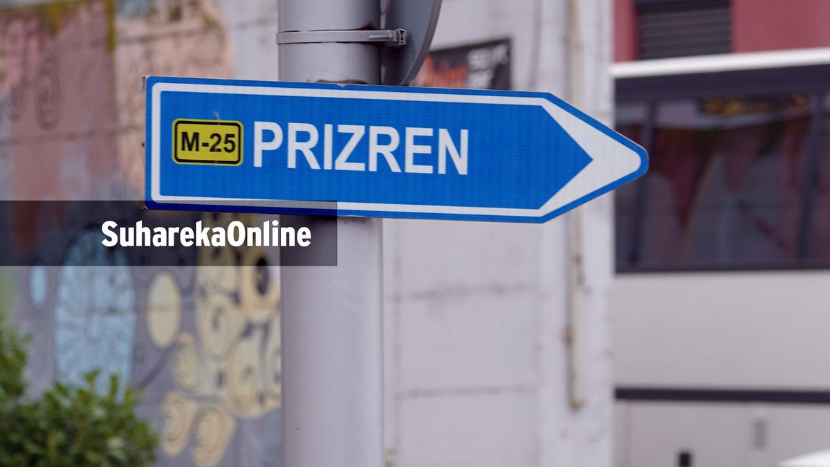 Plagoset aksidentalisht me armë zjarri një person në Caparc