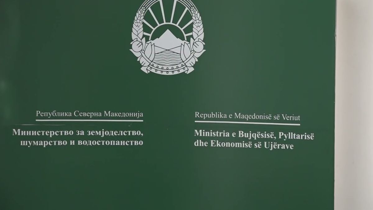 Aksion kundër prerjes ilegale: Mbi 500 metra kub dru të sekuestruara